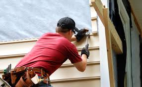 Best Fascia and Soffit Installation  in Williamsburg, KY